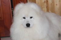 /album/cidri-fenykepalbum/img-1018-jpg/