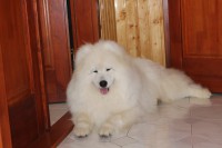 /album/cidri-fenykepalbum/img-1020-jpg/