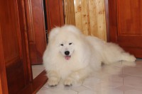 /album/cidri-fenykepalbum/img-1021-jpg/