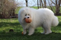 /album/cidri-fenykepalbum/img-1078-jpg/