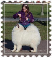 /album/cidri-fenykepalbum/a529566-10151416649844385-111522173-n-jpg/