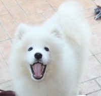 /album/cidri-fenykepalbum/a53913-10151127552204385-1441553249-o-jpg/