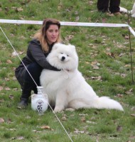 /album/kepgaleria-kiallitasok-tablazatos-eredmenye/a902951-10151393112869385-861335325-o-jpg/