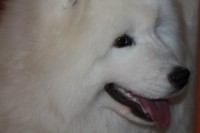 /album/cidri-fenykepalbum/a859201-10151330187199385-877715291-o-jpg/