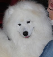 /album/cidri-fenykepalbum/cid-jpg1/