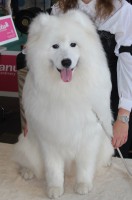 /album/cidri-fenykepalbum/cidri-jpg1/