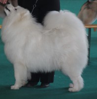 /album/kepgaleria-kiallitasok-tablazatos-eredmenye/cidri2-jpg1/