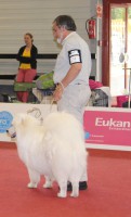 /album/kepgaleria-kiallitasok-tablazatos-eredmenye/apa-jpg/