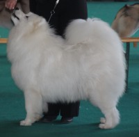 /album/kepgaleria-kiallitasok-tablazatos-eredmenye/ugyi-jpg/