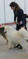 /album/kepgaleria-kiallitasok-tablazatos-eredmenye/tenyesz2-jpg/