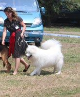 /album/kepgaleria-kiallitasok-tablazatos-eredmenye/cac-jpg1/