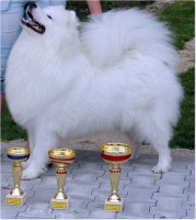 /album/kepgaleria-kiallitasok-tablazatos-eredmenye/kupa-jpg1/