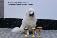 /album/kepgaleria-kiallitasok-tablazatos-eredmenye/kupa2-jpg1/