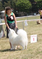 /album/cidri-fenykepalbum/beall2-jpg/