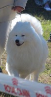 /album/kepgaleria-kiallitasok-tablazatos-eredmenye/futas-jpg/