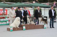 /album/kepgaleria-kiallitasok-tablazatos-eredmenye/a1511065-224484517748385-724502875-n-jpg/