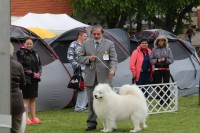 /album/kepgaleria-kiallitasok-tablazatos-eredmenye/a10153712-231274463736057-6330564439126385084-n-jpg/