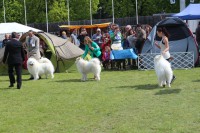 /album/kepgaleria-kiallitasok-tablazatos-eredmenye/a10270696-231274693736034-6923329195108026893-n-jpg/