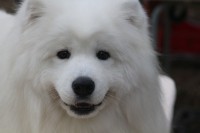 /album/kepgaleria-kiallitasok-tablazatos-eredmenye/img-4104-jpg1/