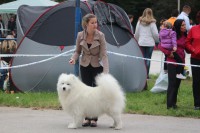 /album/kepgaleria-kiallitasok-tablazatos-eredmenye/img-4144-jpg/