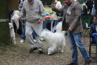 /album/kepgaleria-kiallitasok-tablazatos-eredmenye/img-4113-jpg/