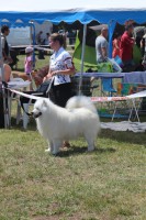 /album/kepgaleria-kiallitasok-tablazatos-eredmenye/img-4200-jpg/