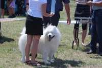 /album/kepgaleria-kiallitasok-tablazatos-eredmenye/img-4208-jpg/