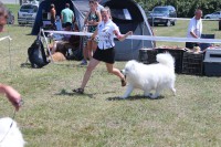 /album/kepgaleria-kiallitasok-tablazatos-eredmenye/img-4228-jpg/