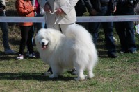 /album/cidri-fenykepalbum/a1010114-224483947748442-486949280-n-jpg1/