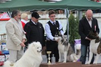 /album/cidri-fenykepalbum/a1604897-224484491081721-1759483028-n-jpg1/