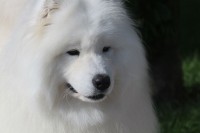 /album/cidri-fenykepalbum/a10382970-263443140519189-3904011282754599482-n-jpg/