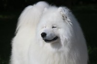 /album/cidri-fenykepalbum/a10620739-263446680518835-7315004609994570580-n-jpg/