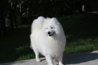 /album/cidri-fenykepalbum/a10622940-263444953852341-6838141332509689549-n-jpg/