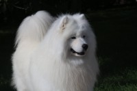 /album/cidri-fenykepalbum/a10967740-325744780955691-1307260214-o-jpg/